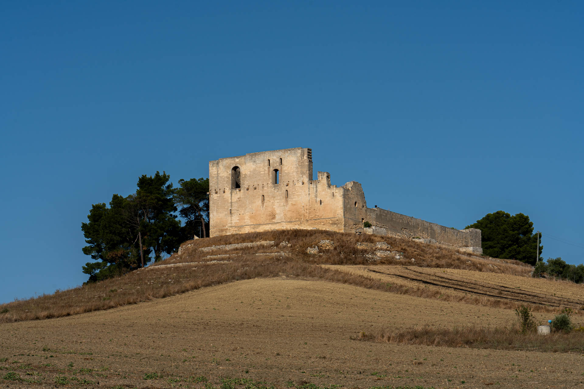La rete dei castelli di Federico II