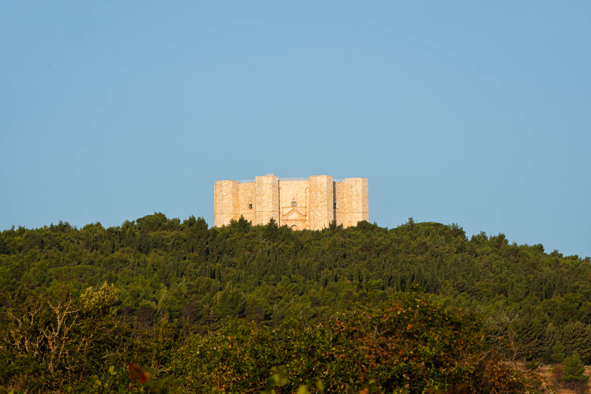 Il castello ottagonale